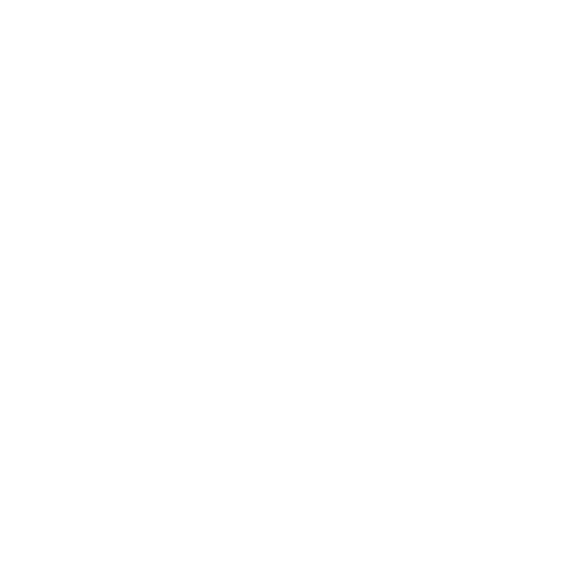 Competence icon
